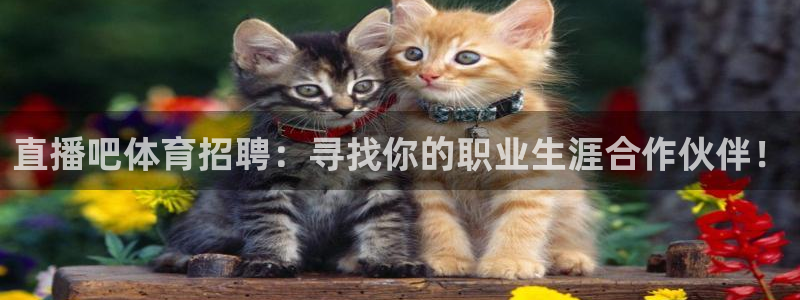 乐球直播官网：直播吧体育招聘：寻找你的职业生涯合作伙伴！