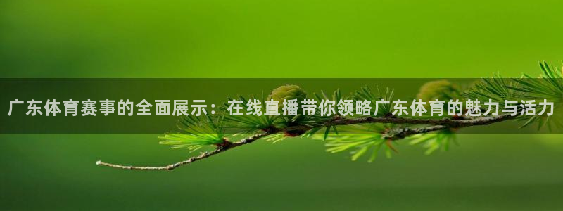 乐球直播世界杯：广东体育赛事的全面展示：在线直播带你领略广东体育的魅力与活力