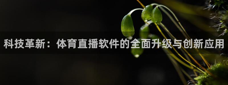 乐球直播足球：科技革新：体育直播软件的全面升级与创新应用
