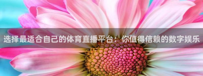 乐球直播tv：选择最适合自己的体育直播平台：你值得信赖的数字娱乐
