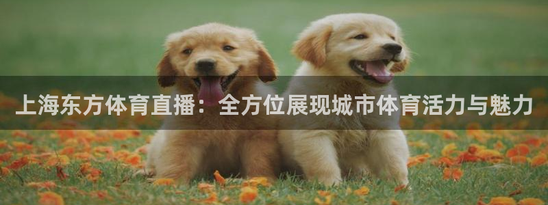 乐球直播nba在线直播：上海东方体育直播：全方位展现城市体育活力与魅力