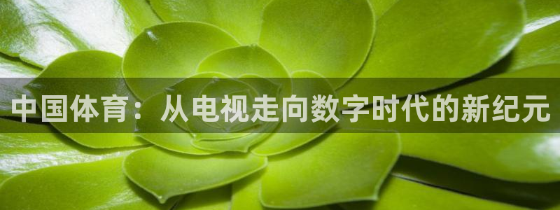 乐球直播官网入口在线观看：中国体育：从电视走向数字时代的新纪元