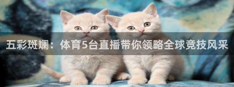 乐球直播体育免费直播：五彩斑斓：体育5台直播带你领略全球竞技风采