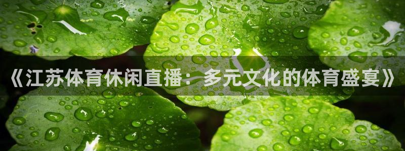 乐球直播在线看球：《江苏体育休闲直播：多元文化的体育盛宴》