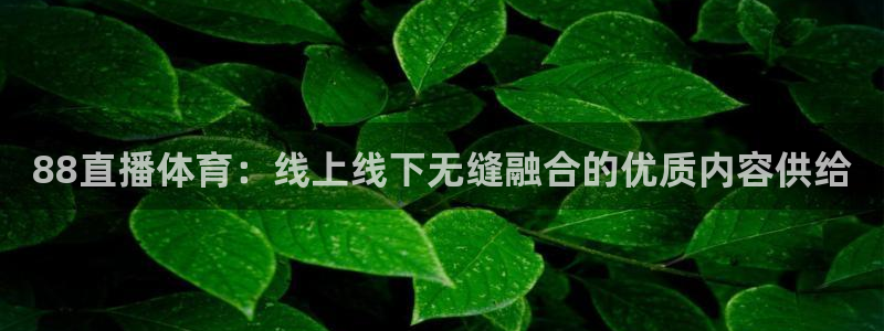 乐球直播体育：88直播体育：线上线下无缝融合的优质内容供给